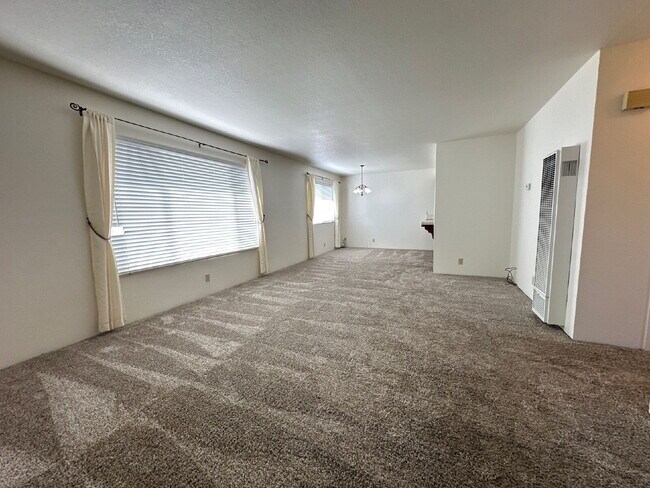 Photo - Available February 7th.