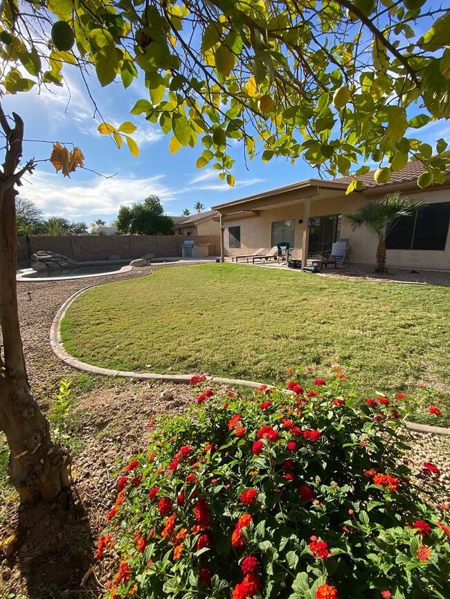 Photo - 3BDRM 2BA Residential home with pool for rent in Goodyear!