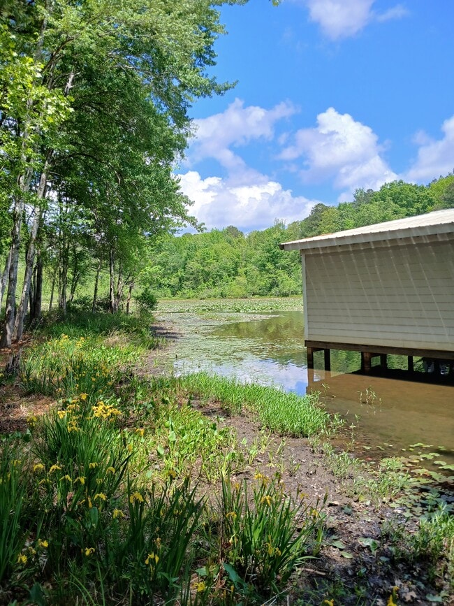 Photo - 3317 Birdsong Rd