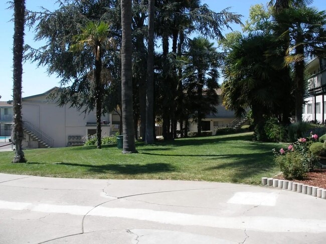 Fairmount Palms