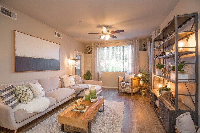 The Signature 575 SQFT 1 Bed 1 Bath