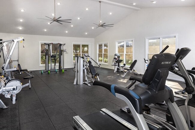 Gimnasio totalmente equipado con TRX y equipo cardiovascular.