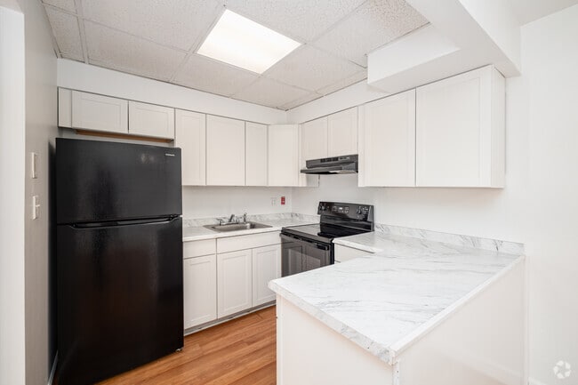 1BR, 1BA - 552SF - Kitchen