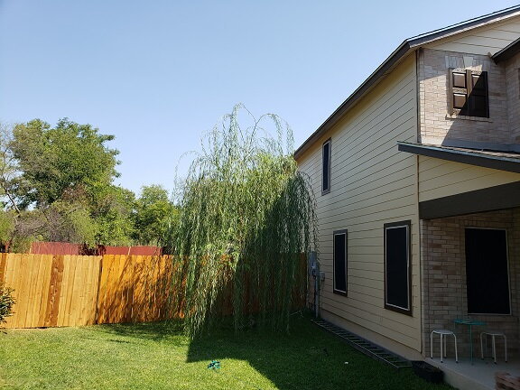 Photo - 54 Basin Elm