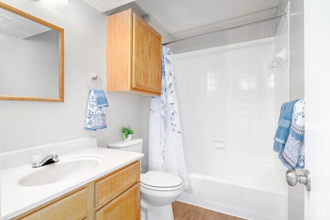 2BR, 1BA - 801SF - Bathroom