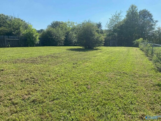 Photo - 166 Stafford Rd