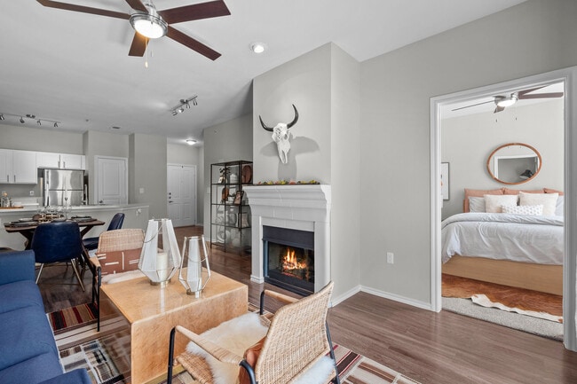 Photo - Trails of White Rock