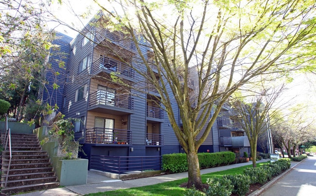 The Edge Apartments