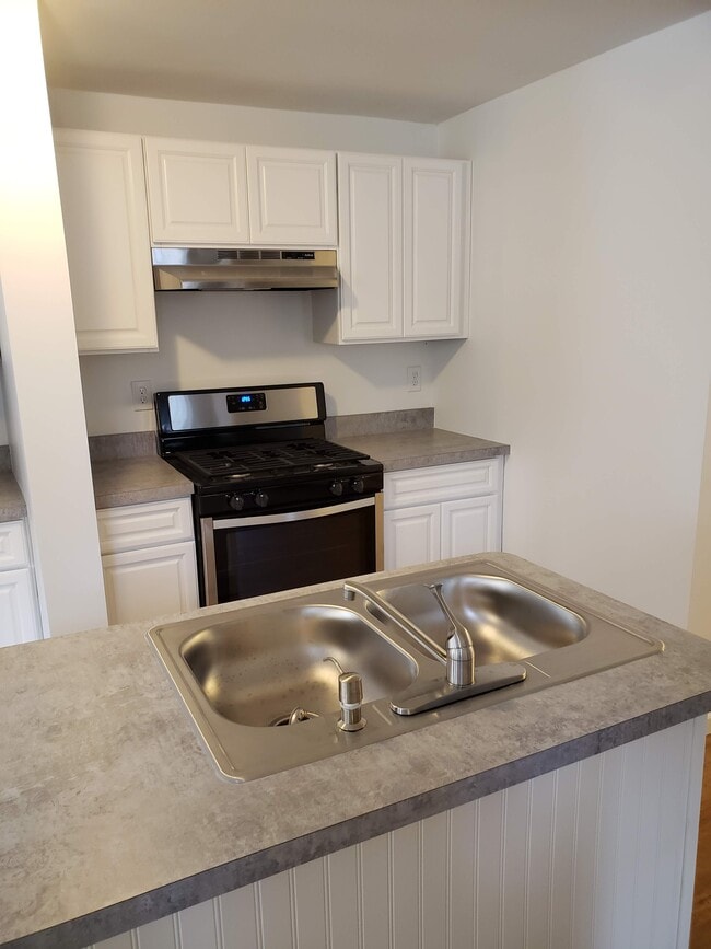 Kitchen. Gas stove with range. Island with stainless steel double sink. - 2 Judson St Unit Ground Level,  1