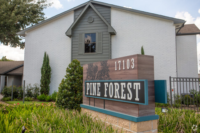 Pine Forest Apartments - Pine Forest Apartments