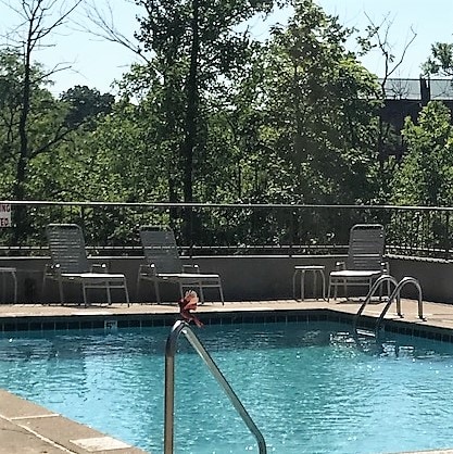 Photo - Mayfair of Montgomery