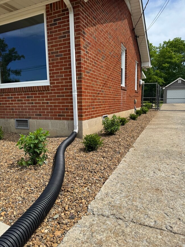 Exterior Pic With New Landscape - 1620 Ashton Ave