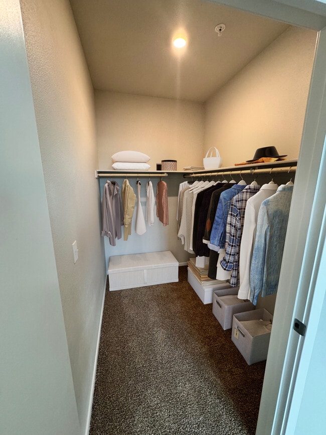 Photo - Junction Crossing