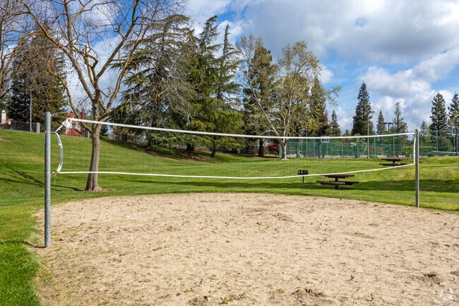 Volleyball Court