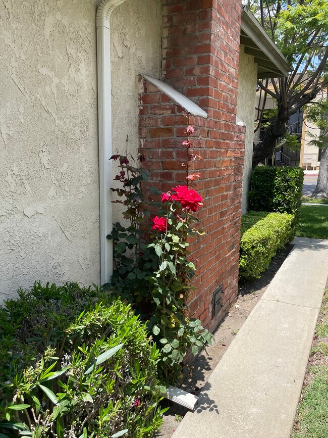 Photo - 2935 Westwood Blvd