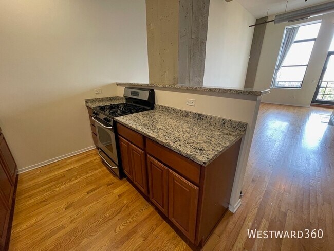 Photo - 1645 W Ogden Ave Unit #629