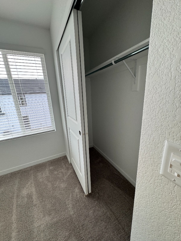 Photo - 9156 Percheron Pony Dr