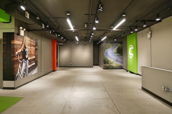 Sótano - Parte posterior - 97-101 Reade St