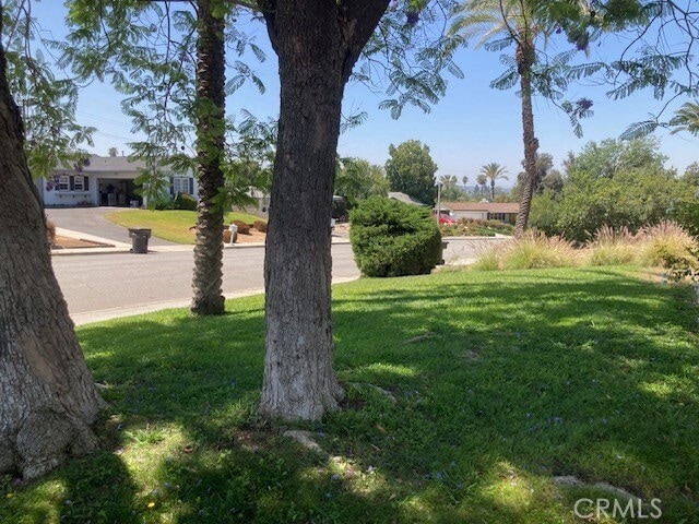 Photo - 515 Alta Mesa Dr