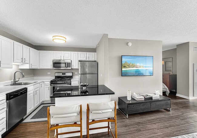 Photo - 545 N Dearborn St Unit 3006