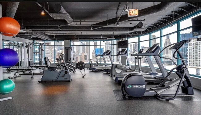 Exercise Room - 340 W Superior St Unit 710