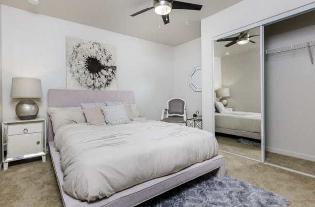 Photo - The Lory of Tallahassee