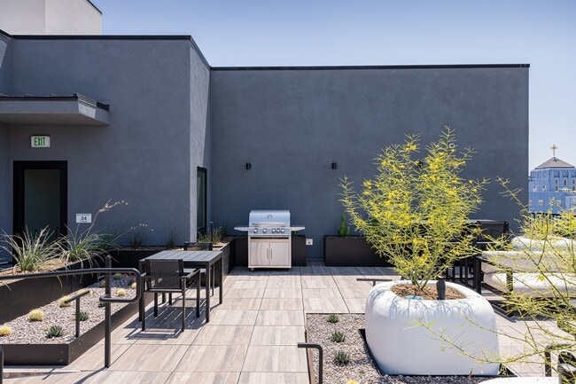 Photo - Skylar At Sunset