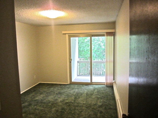 Photo - One Bedroom Apartment In Two Mile Creek.  Amazing Location!