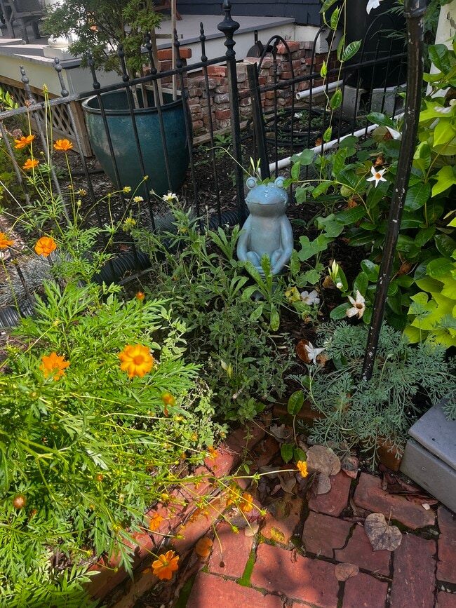Front Walkway