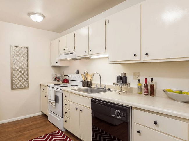 Lots of Cabinet Space