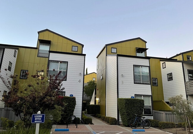 Montage Apartments
