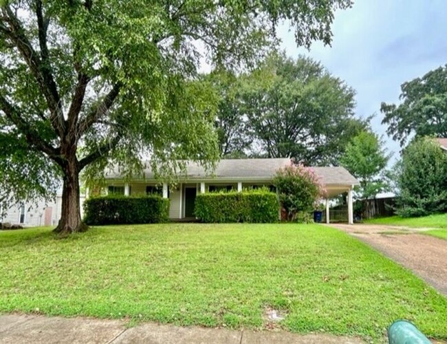 Now Leasing A Spacious 3BR/2BA In Olive Br... - Now Leasing A Spacious 3BR/2BA In Olive Br... House