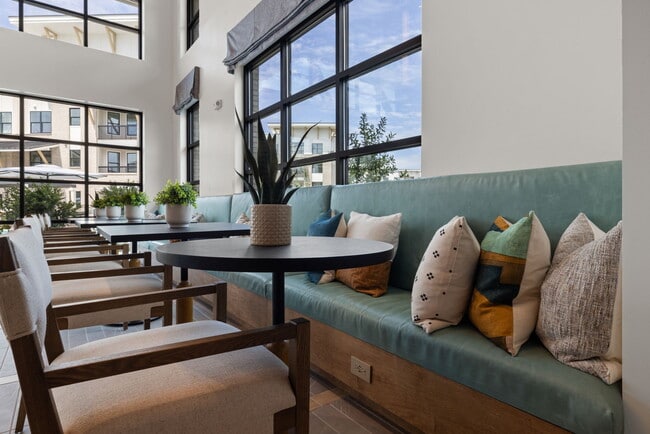 Photo - The Range On Oleander