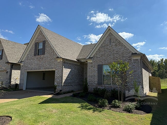 Photo - 100 Downy Birch Cv