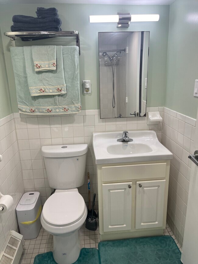 331 Bradford St Apartments Unit Floor 1 Brooklyn, NY