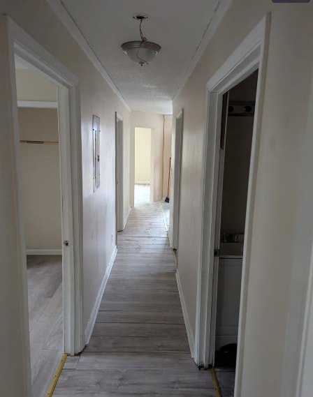 Photo - 1041 Hall St