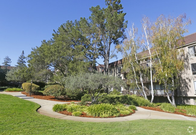 Seven Oaks