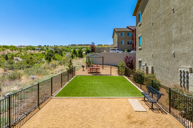 DOG PARK