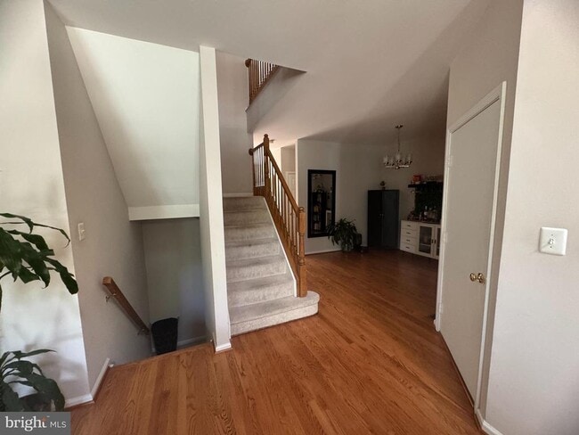 Photo - 1338 Park Garden Ln