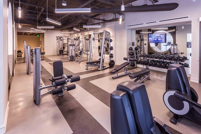 Gimnasio
