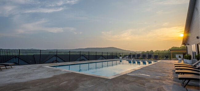 Pool - Storyboard on Stoney Pines