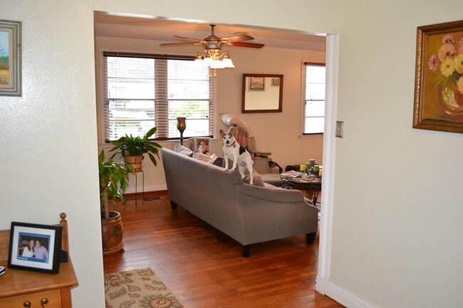 Photo - 128 Gruner Rd