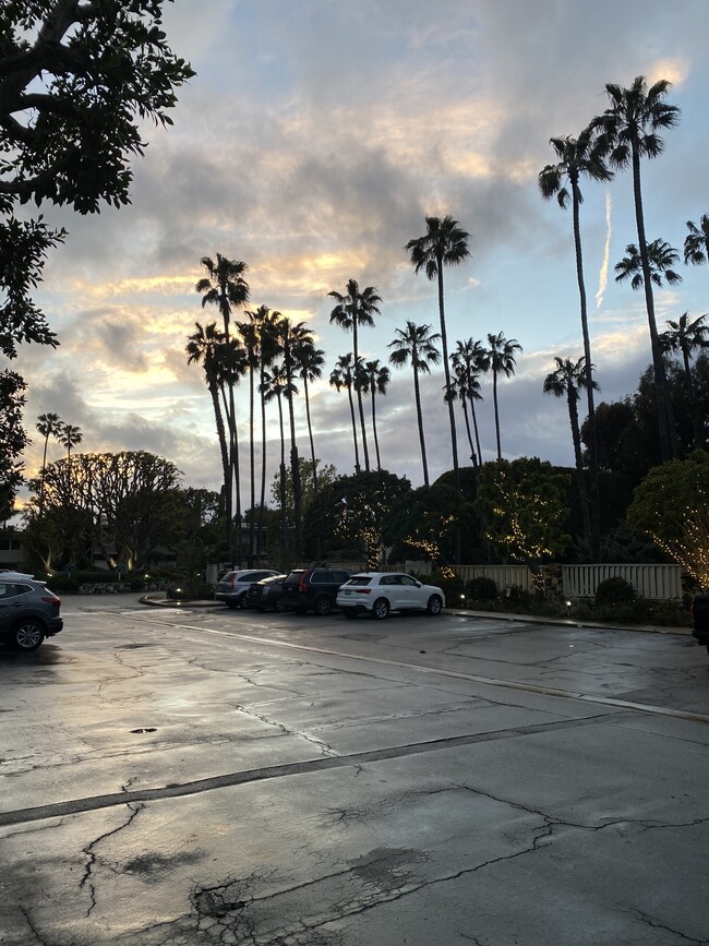 Resident and guest parking - 241 S Barrington Ave Unit 4