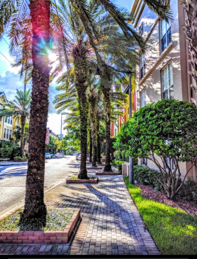 CALLE/ACERA - 2411 W Horatio St Unidad 517