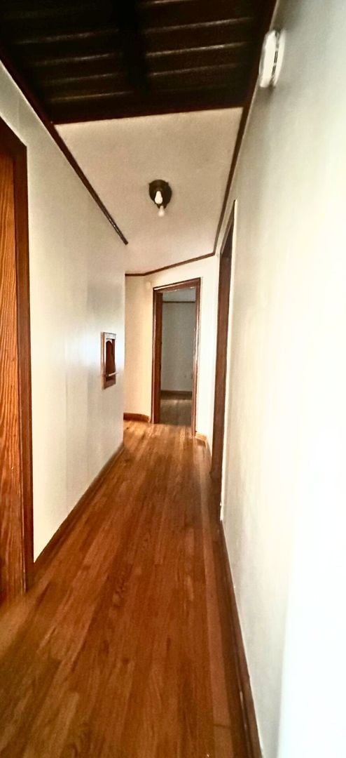 Photo - 704 E Thomas St Unit B