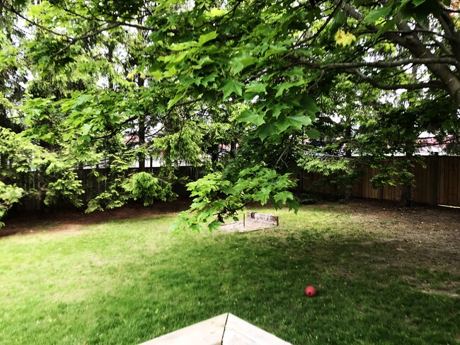 Photo - 540 Delanty Rd