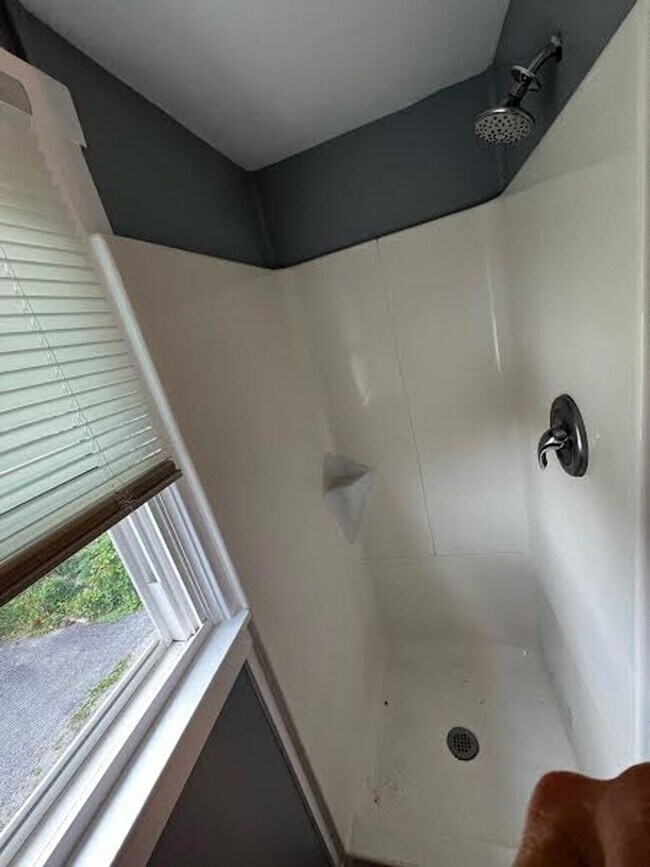 Photo - Cute 1 Bedroom Single Unit - Close to Campus!