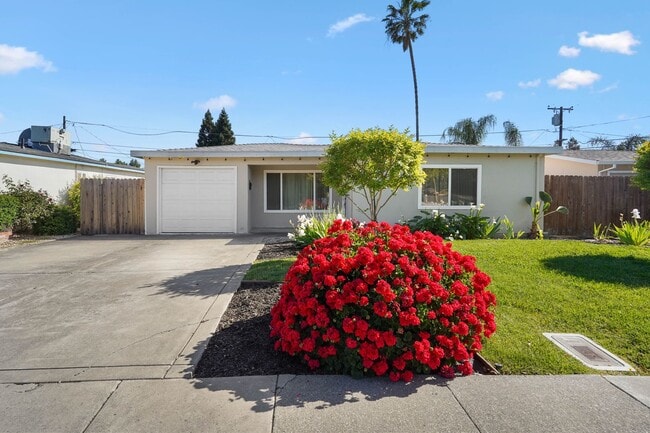 Building Photo - Beautiful Vacaville Home Near Parks, Schools & Shopping