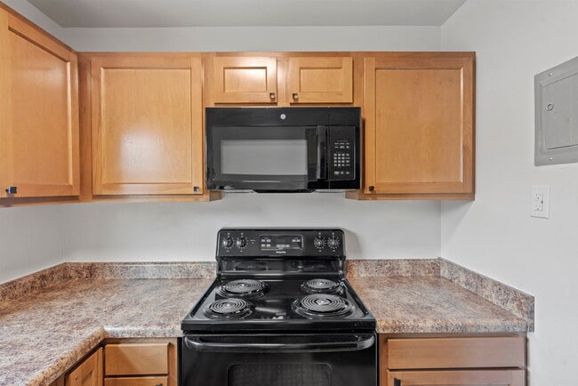 Photo - Netherlands Village