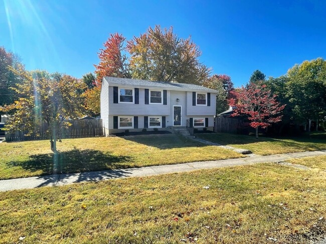 Building Photo - Newly Renovated Hillview Bi-Level!